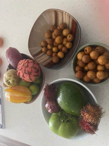 Customer photo review of Tropical Variety Box