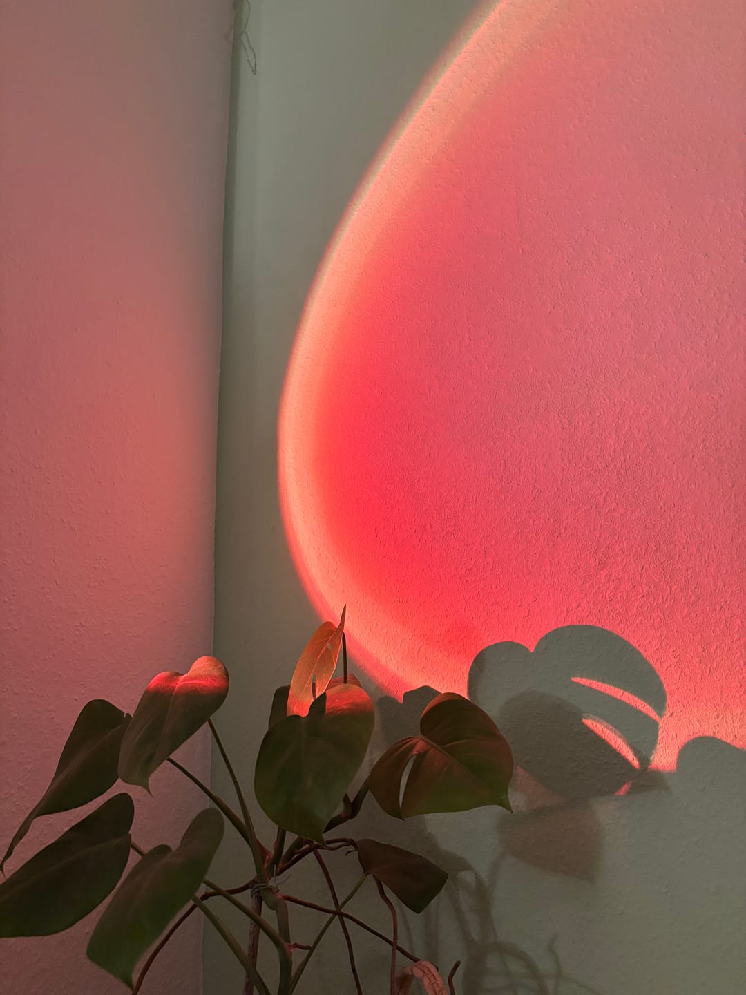Customer photo review of Golden Hour Sunset Lamp