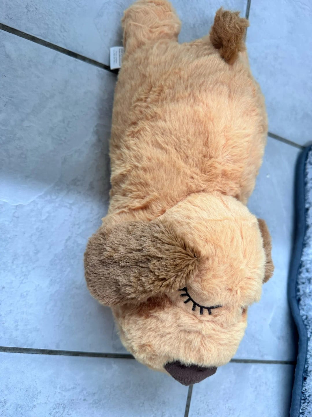 Customer photo review of Peluche Antiestrés para Mascotas