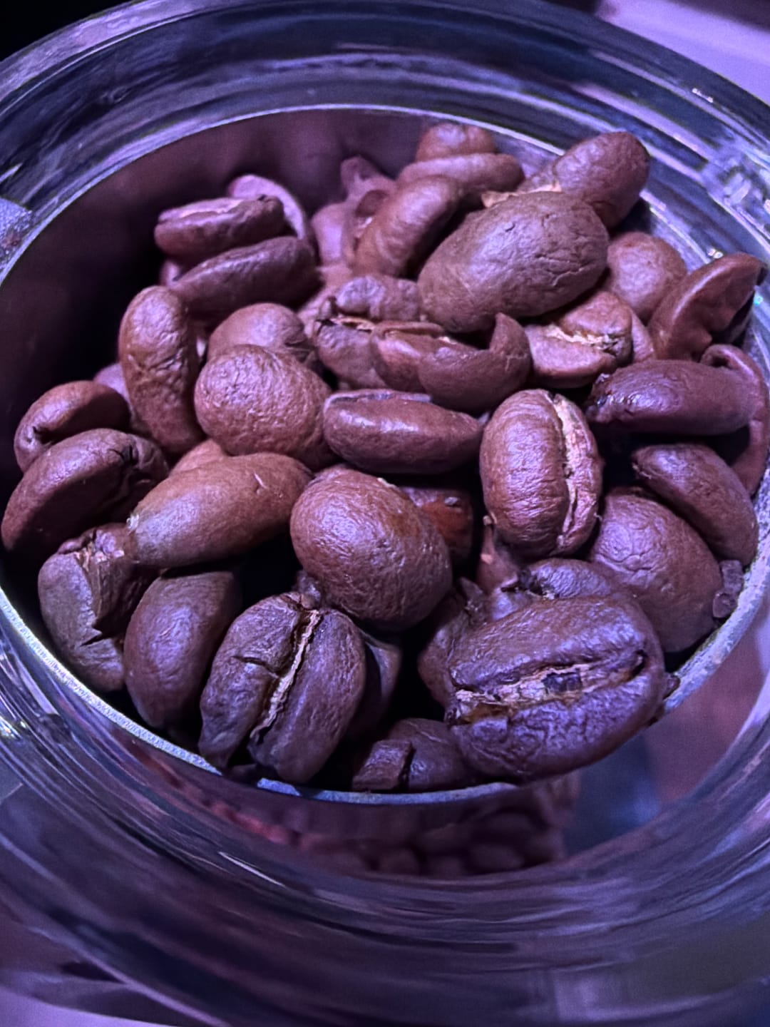 Customer photo review of Organic Leaf & Berry