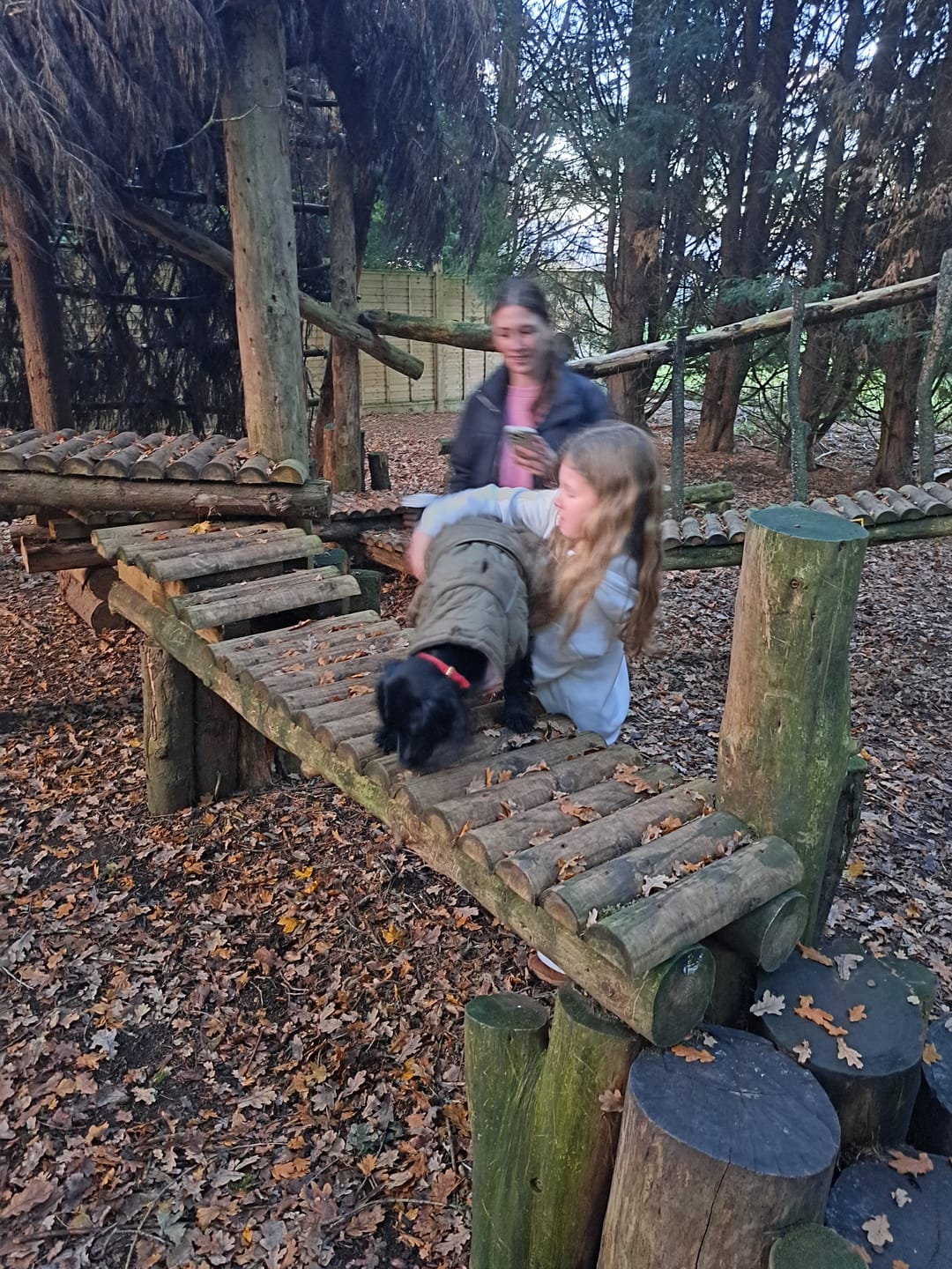 Customer photo review of Honey Comb Dog Coat