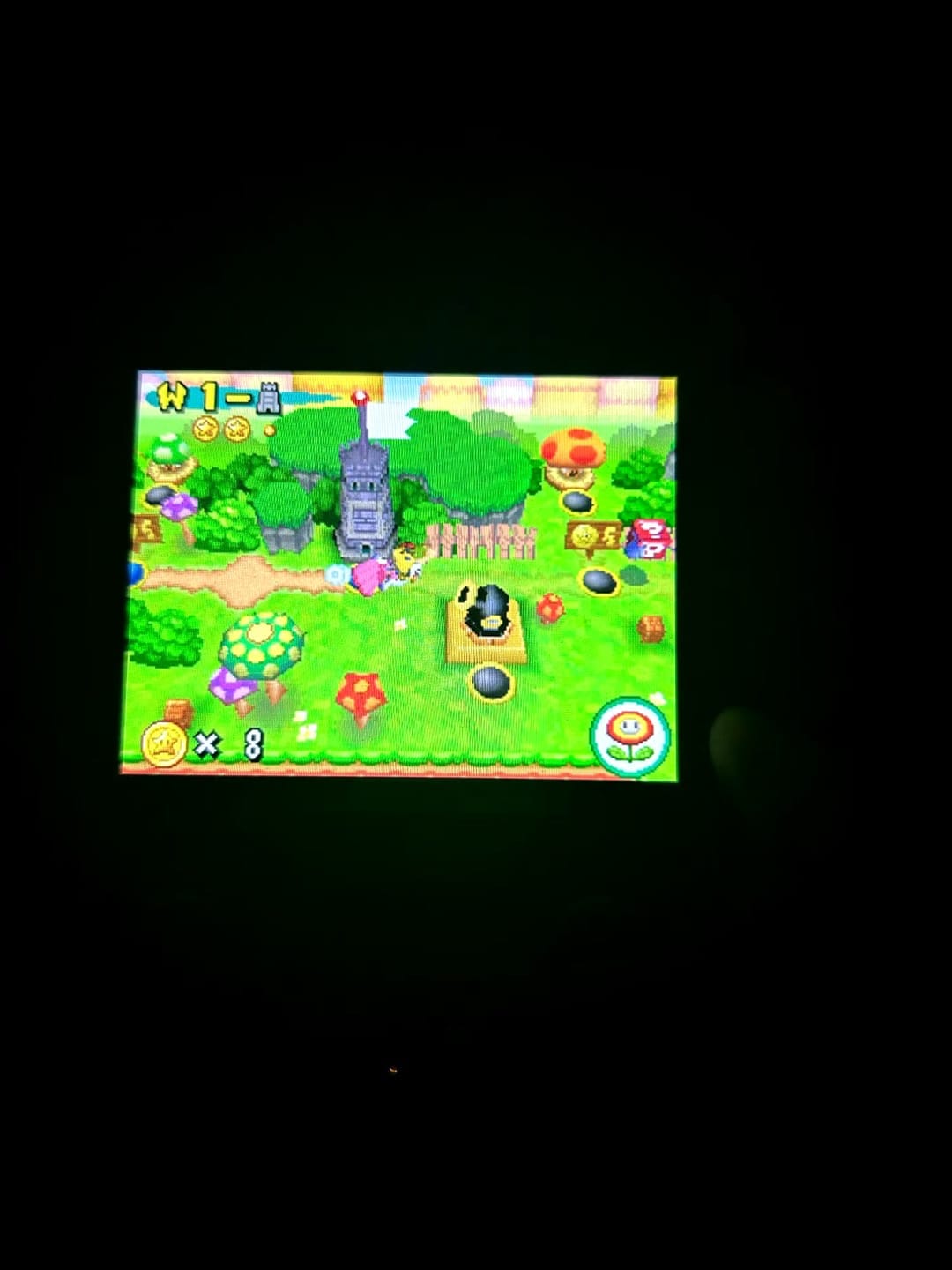 Customer photo review of Molana Apex - Handheld
