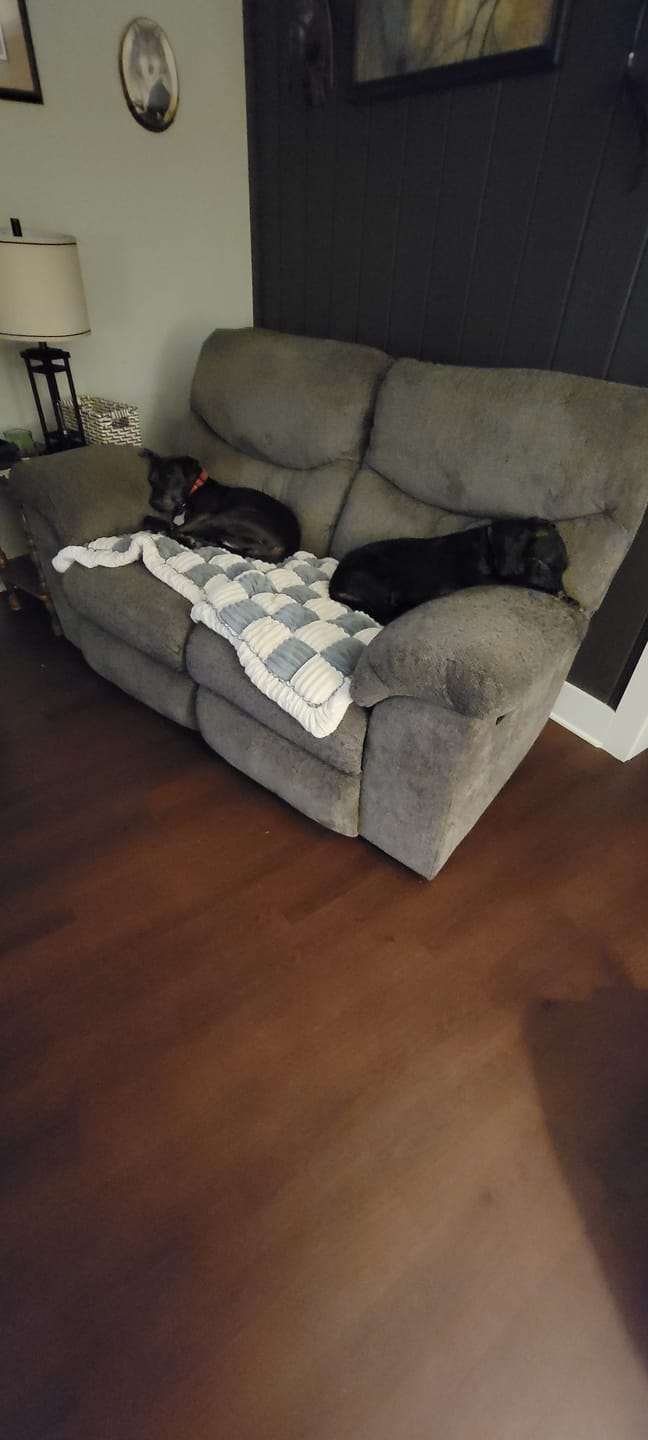 Customer photo review of NEW 2-in-1 Furniture Protector & Dog Bed Couch Cover with Thick Orthopedic Padding, Non-Slip Grip, Scratch-Resistant Surface & Machine-Washable Fabric