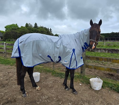 Customer photo review of Weatherbeeta ComFiTec 600D/Mesh Combo