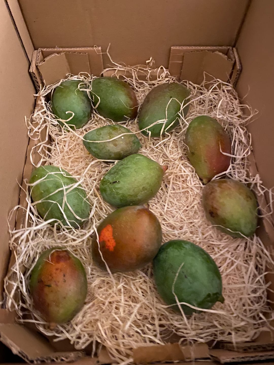 Customer photo review of Mini-Mango Keitt Bio Sonderpreis %