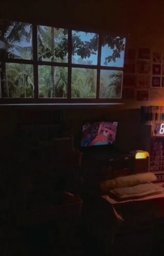 Randoria customer photo review