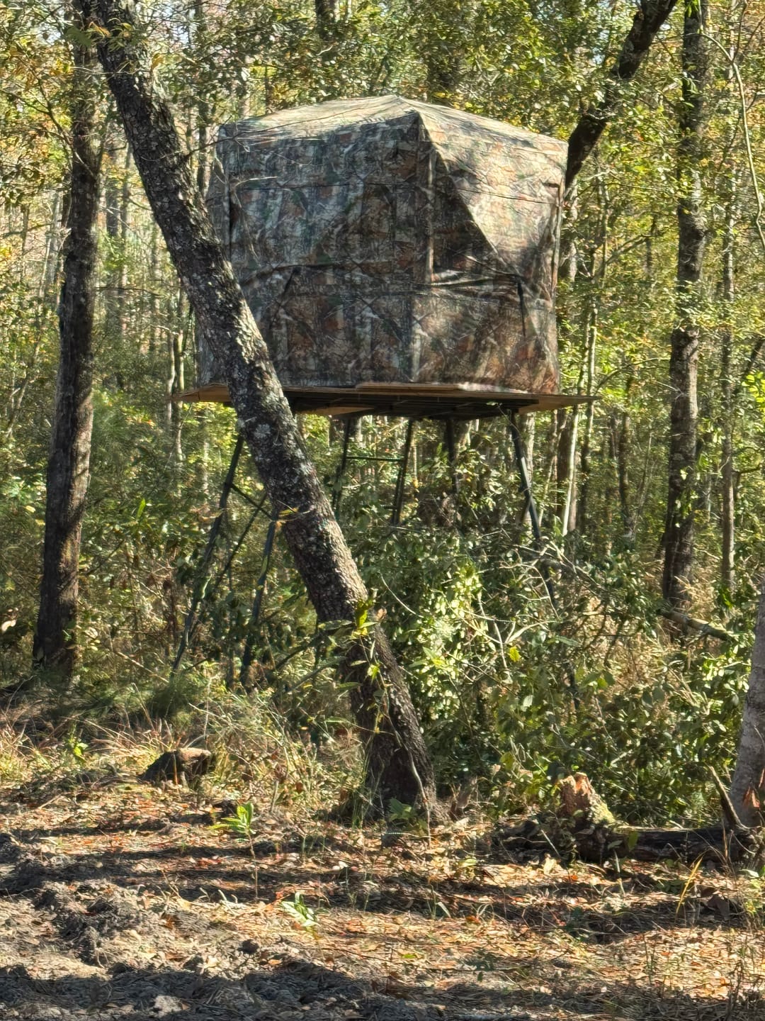 Customer photo review of VisFive360 See Through 4-5 Person 5-Sides Deer Hunting Blind