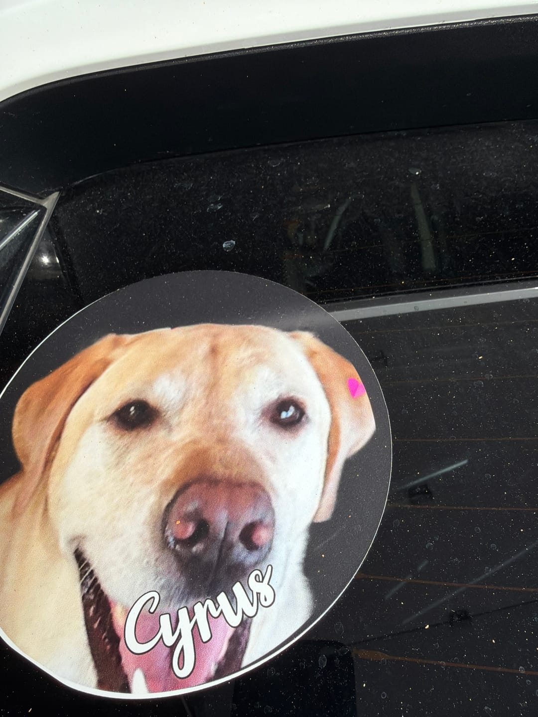 Customer photo review of Your photo -  Personalized Car Sticker