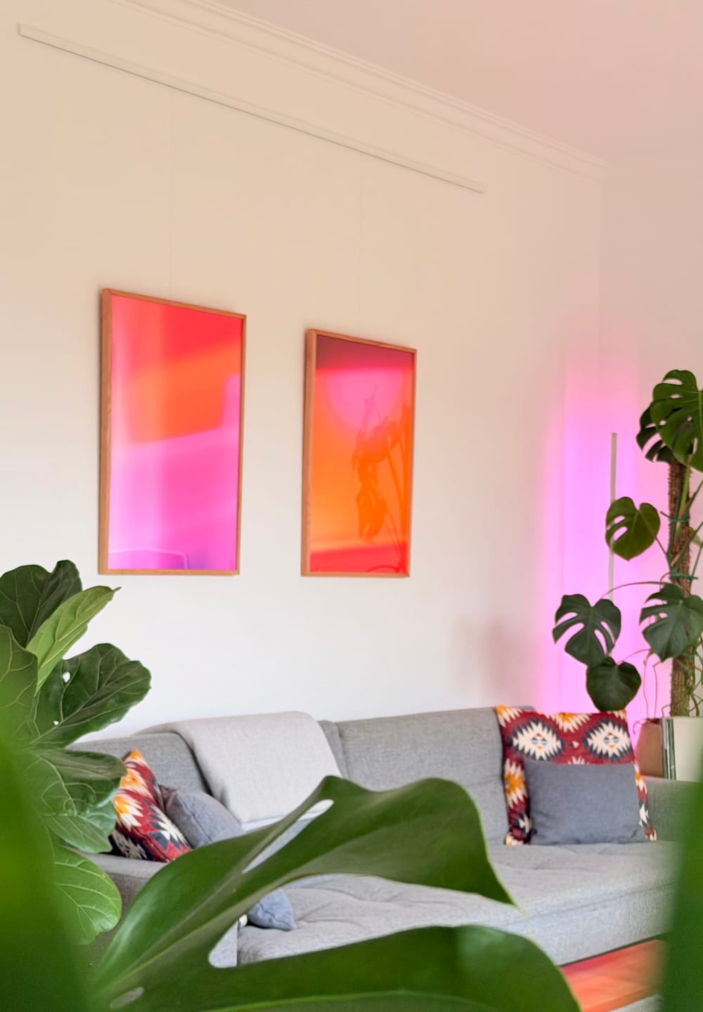 Customer photo review of Color 3