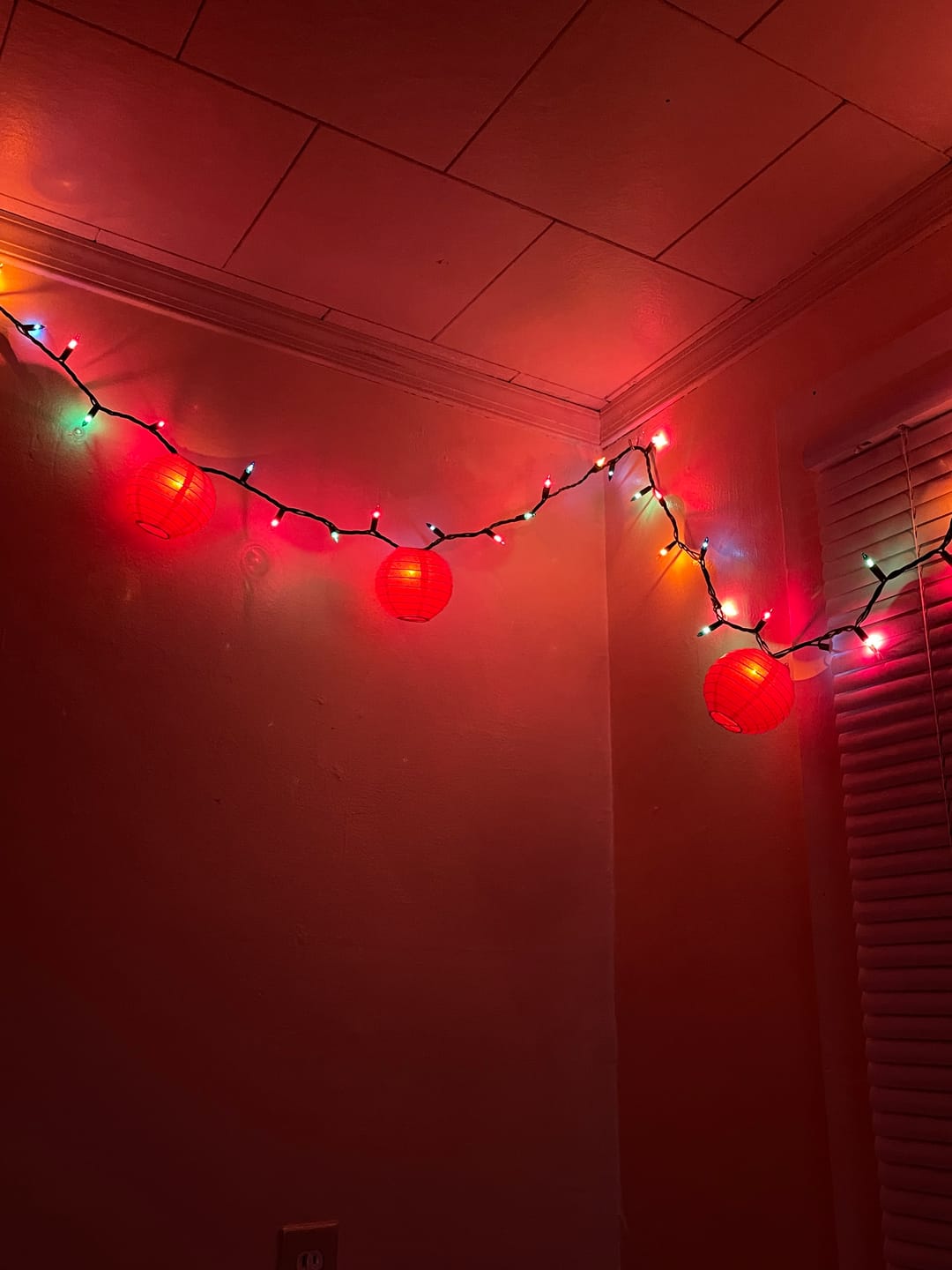 Customer photo review of 10 Socket Red Round Paper Lantern Party String Lights (4" Lanterns, Expandable)