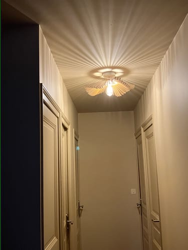 Customer photo review of Rose | Plafonnier