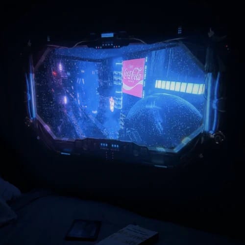 Randoria customer photo review