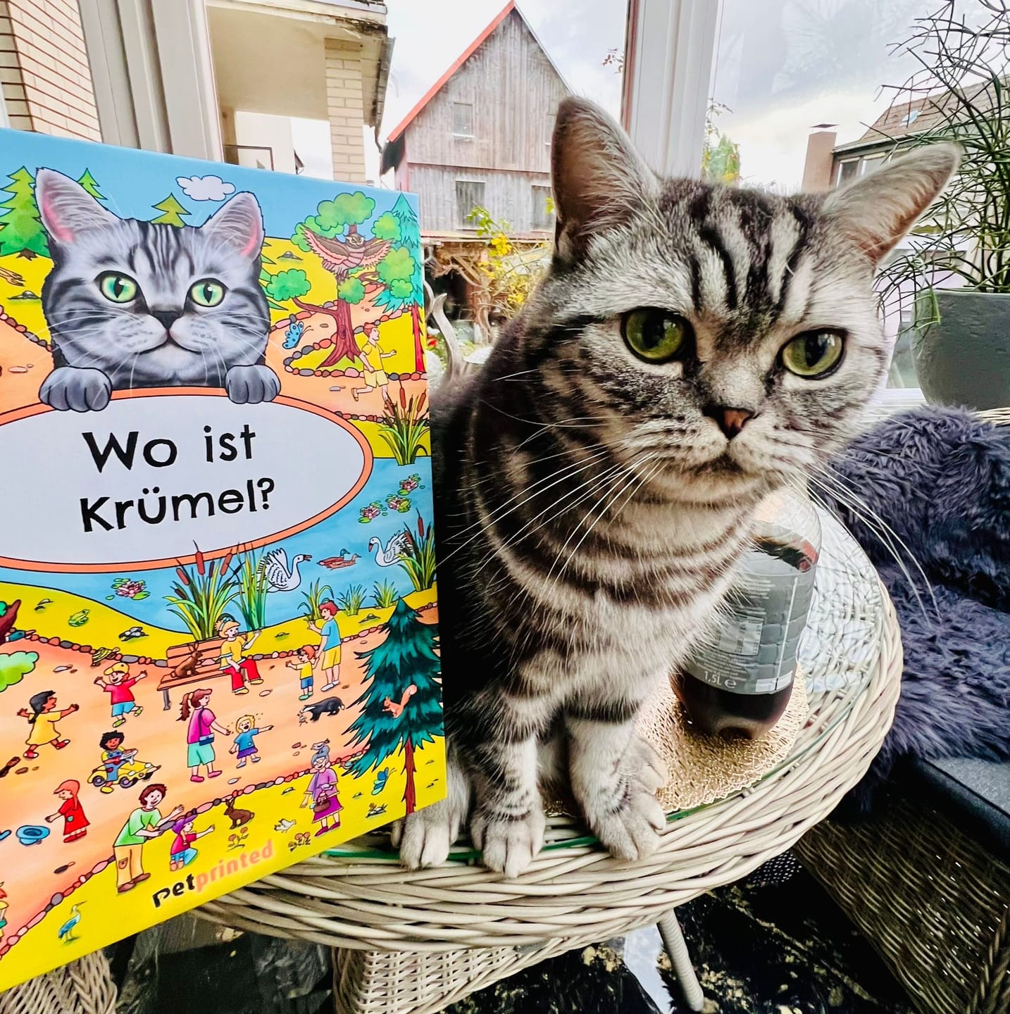 Customer photo review of Wo bist du? - Personalisiertes Katzen-Wimmelbuch