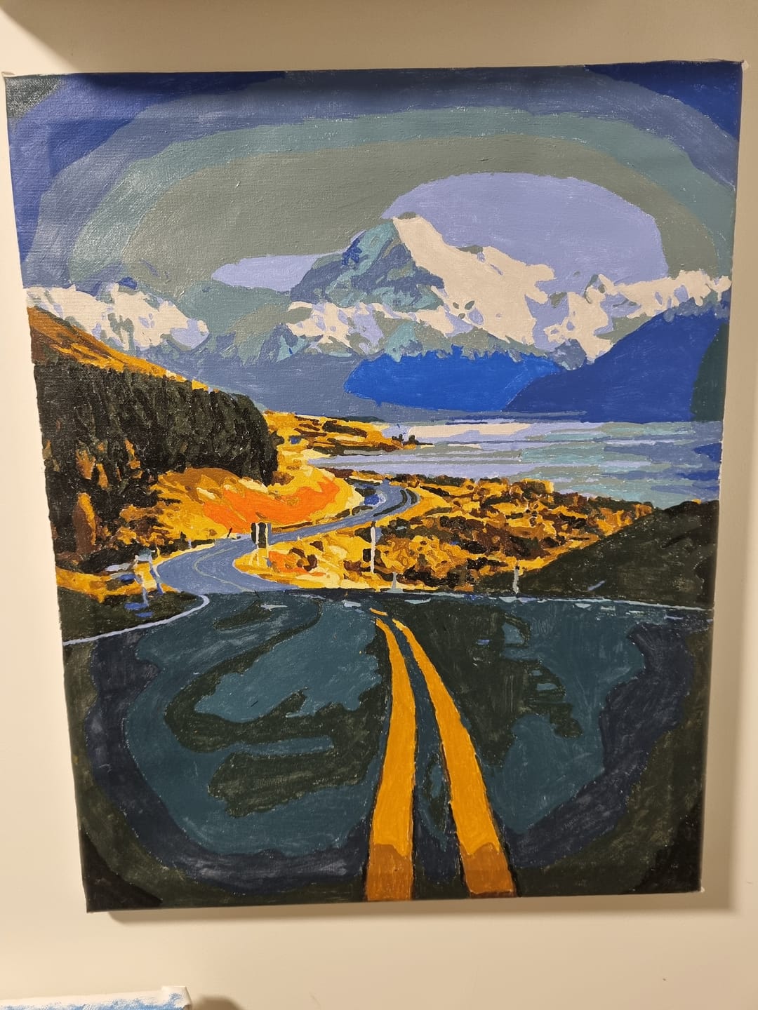 Customer photo review of Aoraki Mount Cook