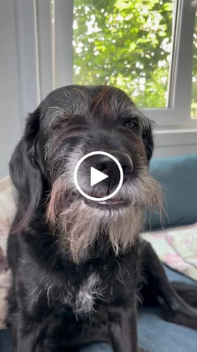 Customer video review of Støttestrømper