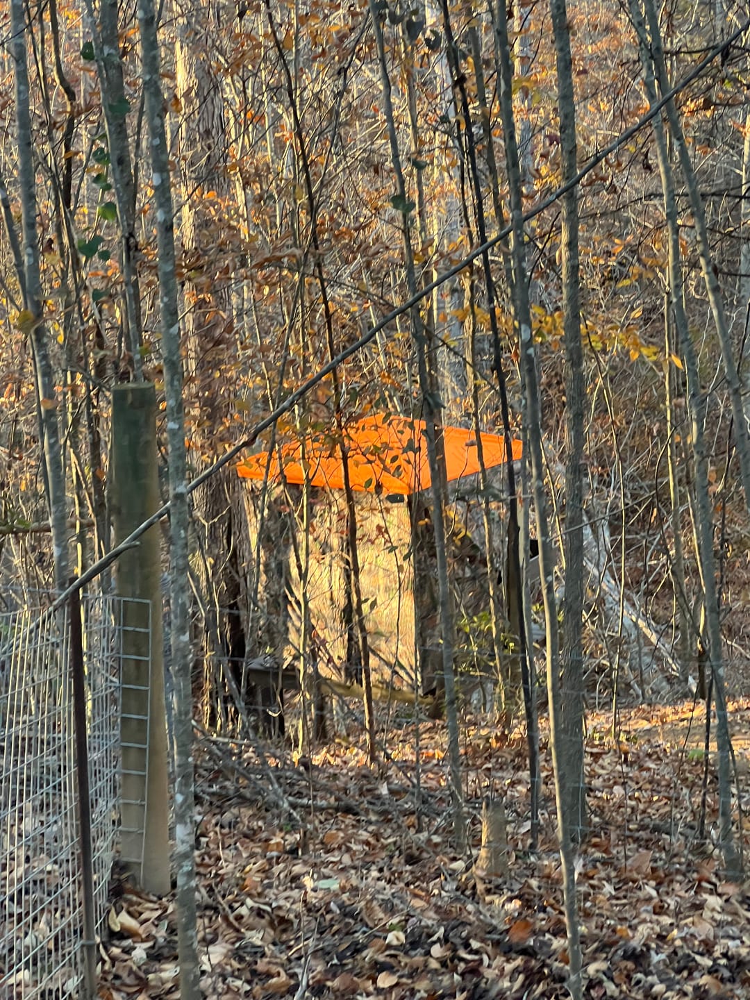 Customer photo review of VisMaster 3-4 Person See Through Hunting Blind | 270° Portable Pop Up Deer Blinds | Blaze Orange Weatherproof Ground Blind with No-Trip Door