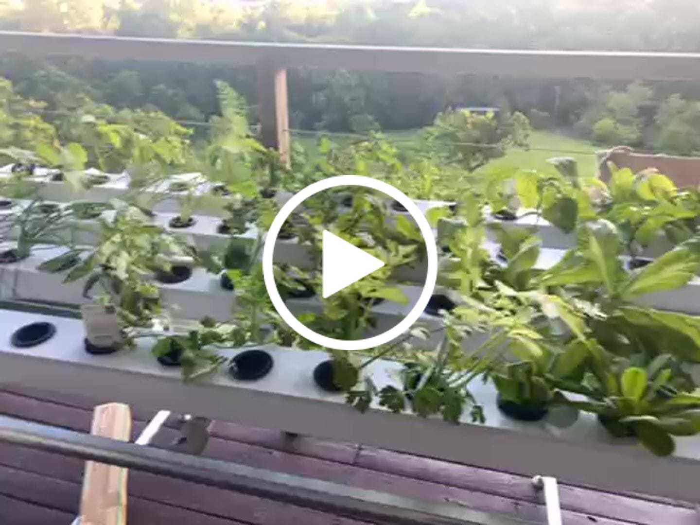 Customer video review of The Large Salad Table