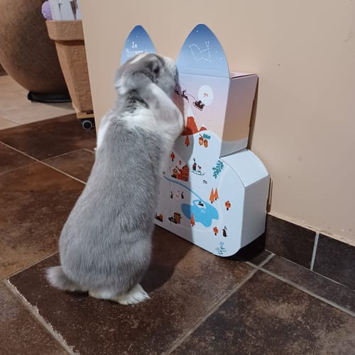 Customer photo review of Calendrier de l’Avent - La Hopbox à CarotteVille