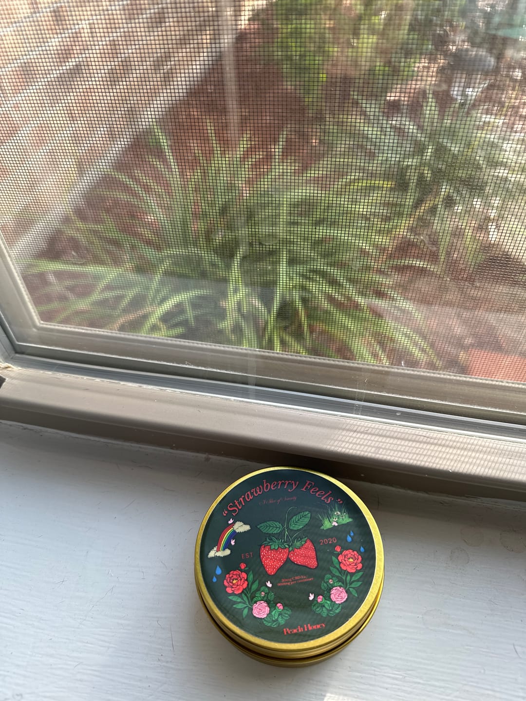 Customer photo review of "Strawberry Feels" CBD Gummies