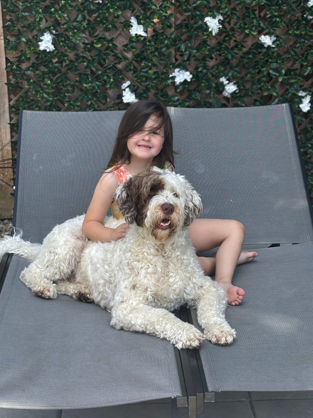 Customer photo review of 6 Inch Jumbo Braided Bully Stick