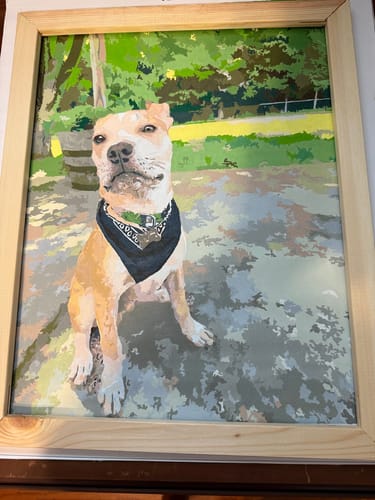 Customer photo review of Custom Pet Paint By Numbers