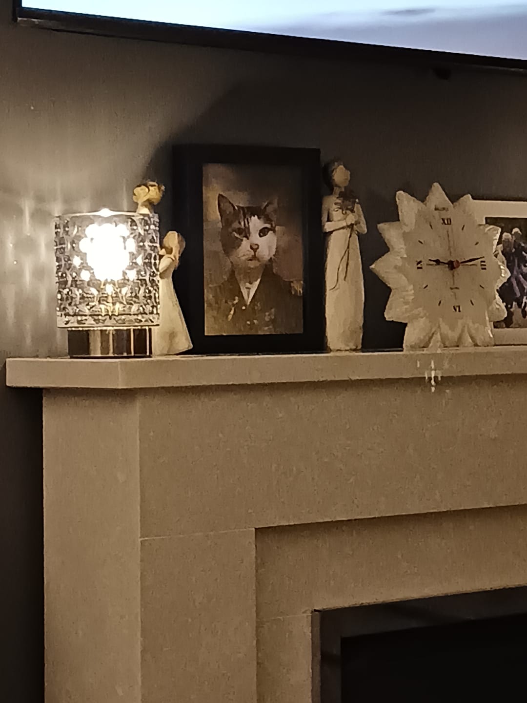 Customer photo review of The General: Custom Pet Portrait