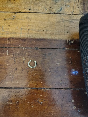 Customer photo review of Stainless Steel Gold Plated Everyday Hoops