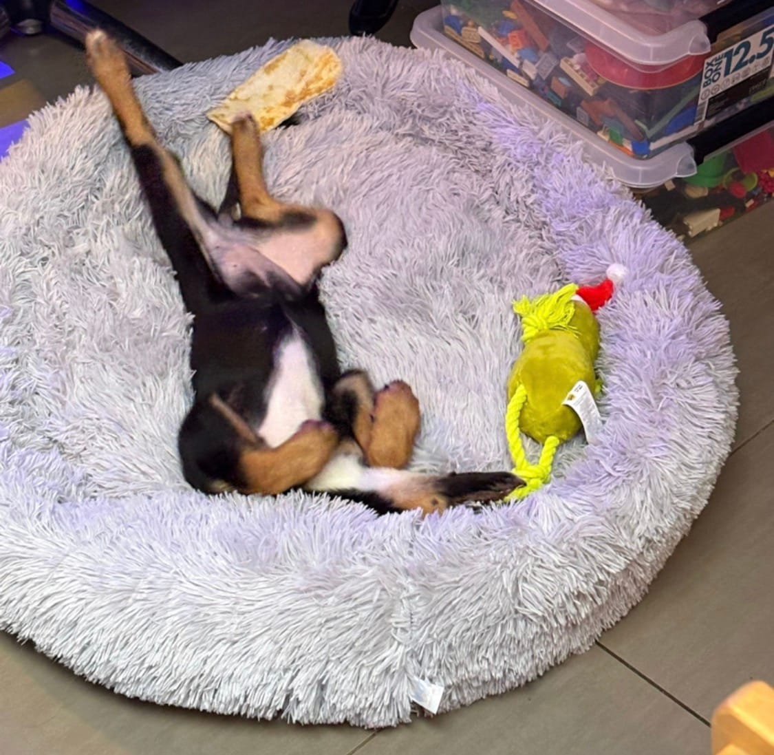 Customer photo review of Pet Perfect Fluffy Donut Hondenmand - Rond - Wasbaar