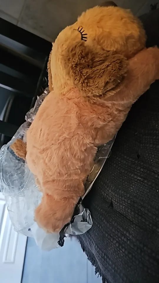 Customer photo review of Peluche Antiestrés para Mascotas
