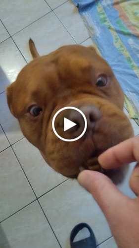 Customer video review of Complément articulations