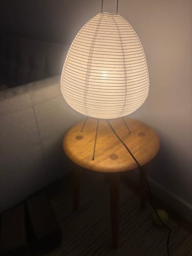 Customer photo review of Absolutely Necessary Lamp