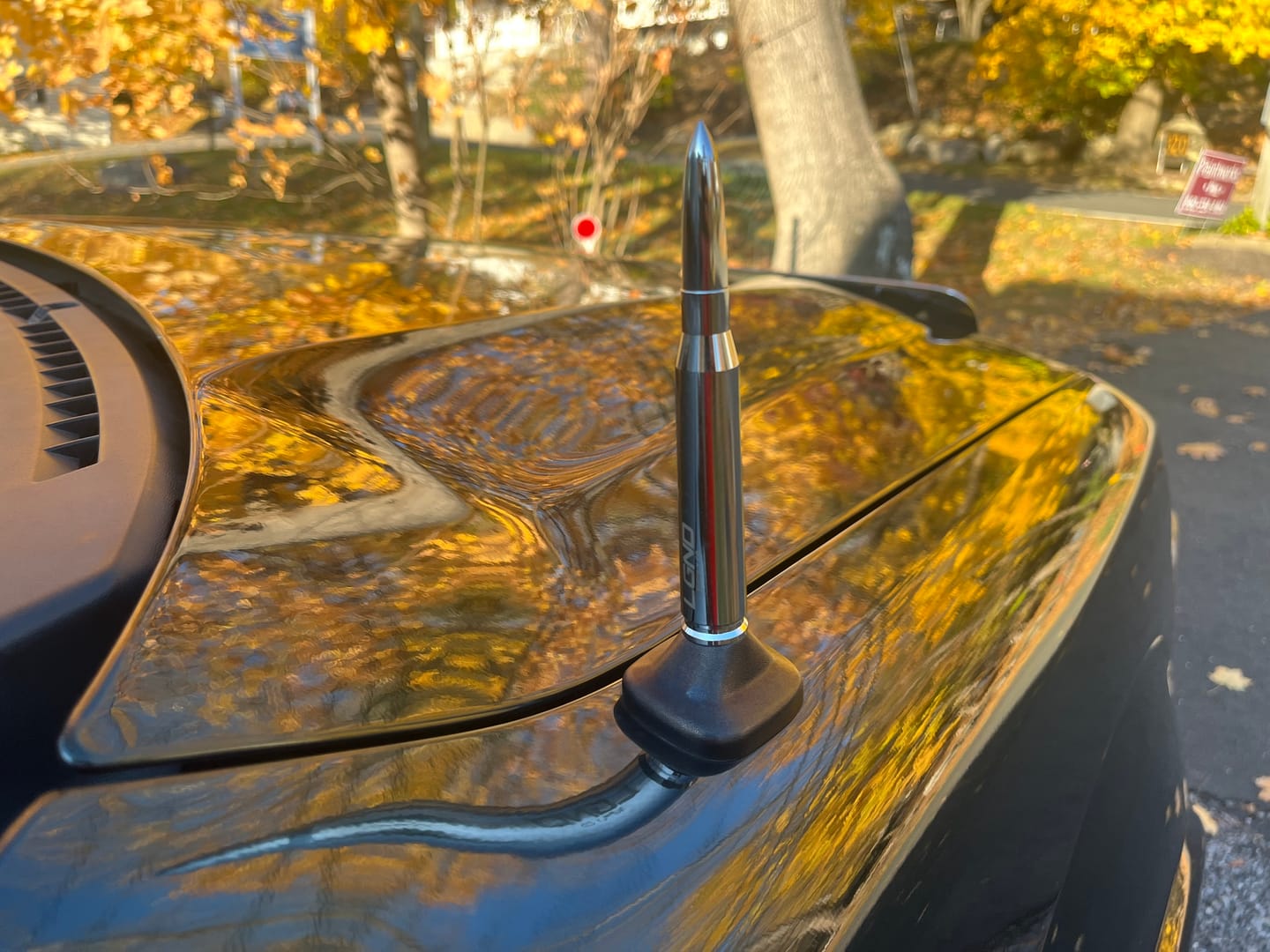Customer photo review of Bullet Antenna