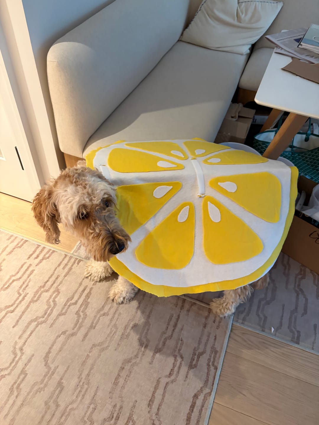 Customer photo review of Acrylic Craft Felt By Yard