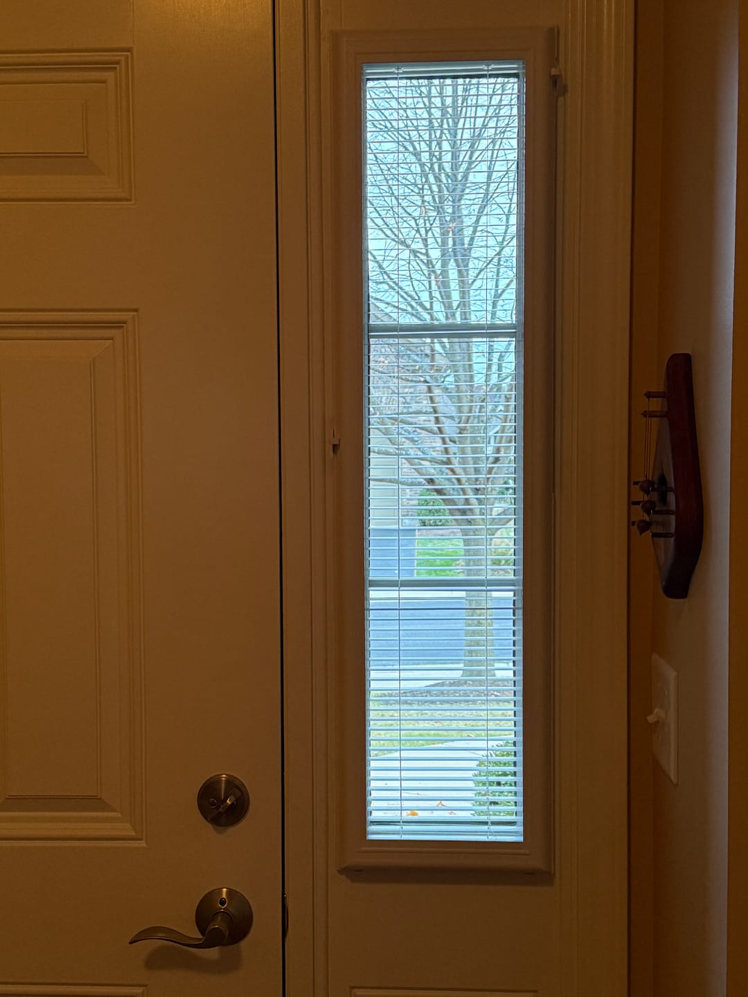 Customer photo review of Add On Blinds Kit (installs on top of existing door glass)