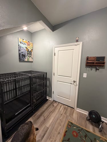 Customer photo review of A Man's Best Friend