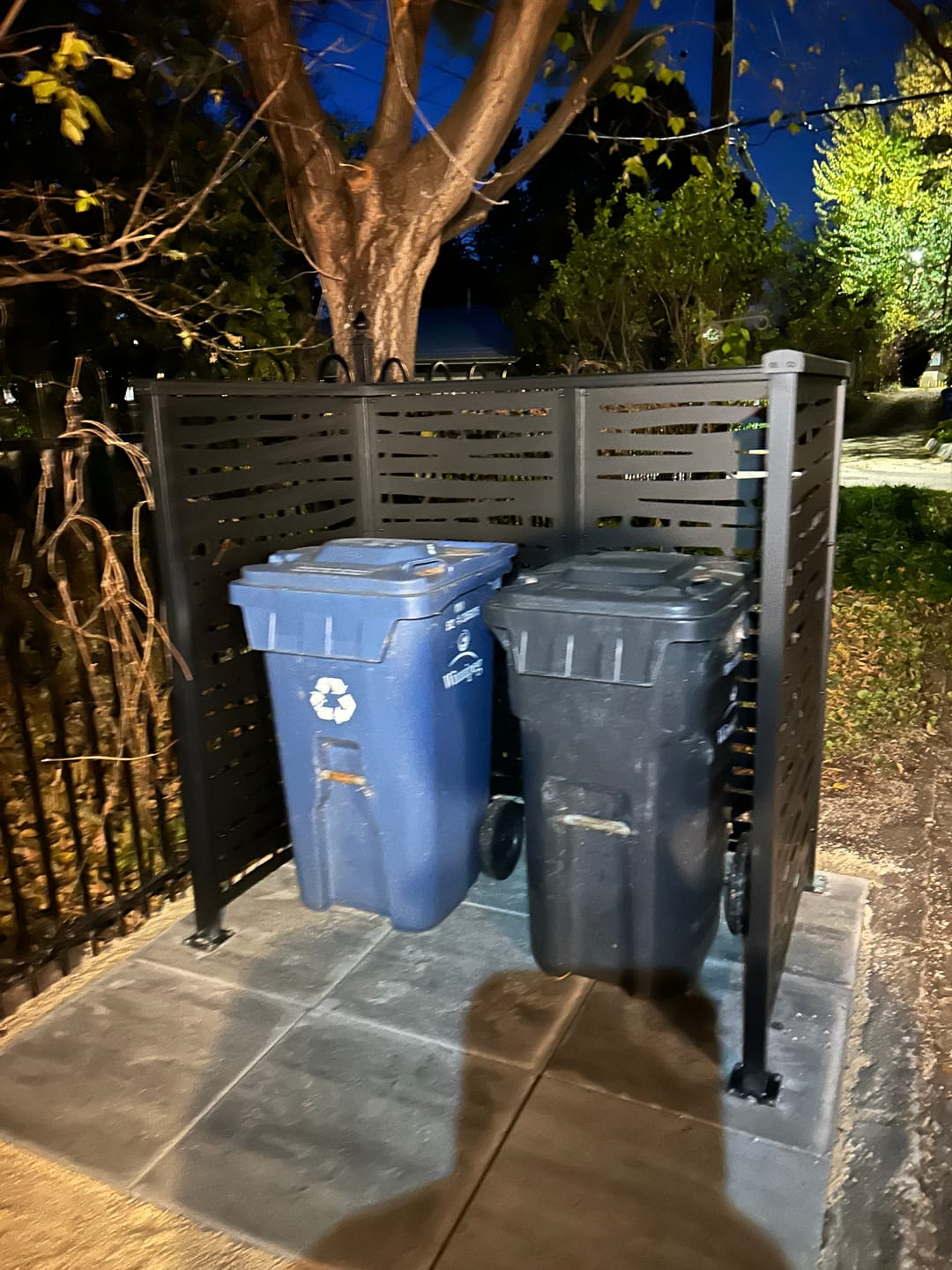 Customer photo review of Privacy Screen (Branch)
