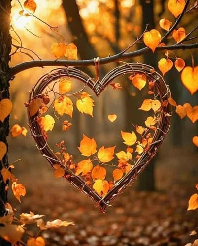 Customer photo review of Fume NB Super P Cartridge ONLY 20K Puffs