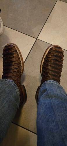Customer photo review of Cowboy Boot Python Cognac