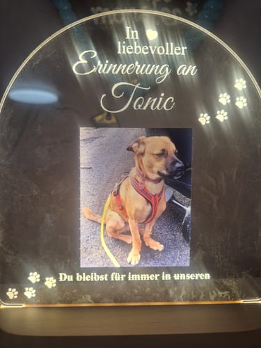 Customer photo review of Zur liebevollen Erinnerung – LED-Lampe für Hund/Katze