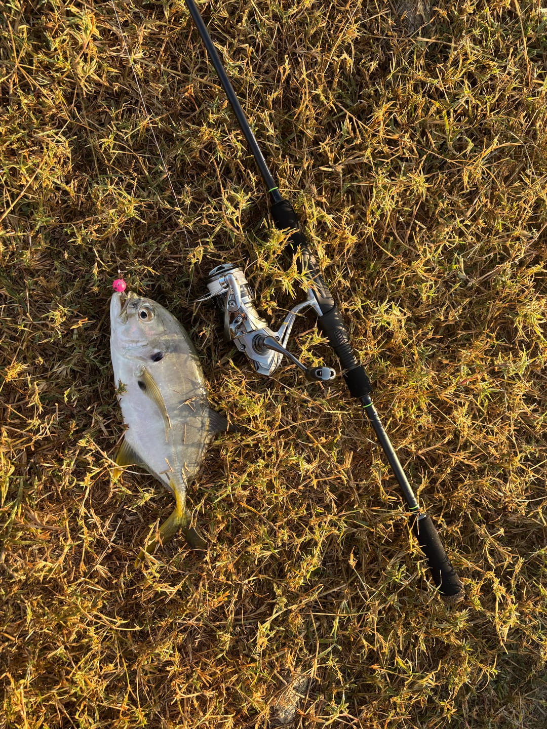 Customer photo review of White 8X- Ultra Performance 8 Strand
