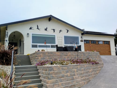 Customer photo review of Birds Wall Art