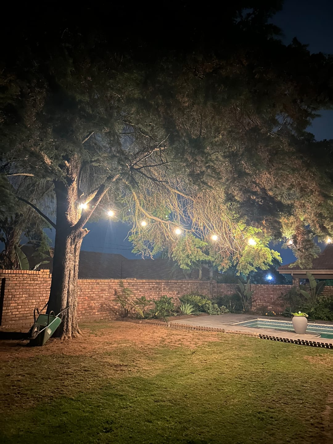 Customer photo review of Plug-In Festoon Bulb String Lights