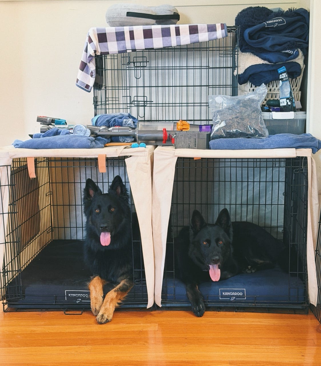 Customer photo review of Kangaroo Dog Crate Mat