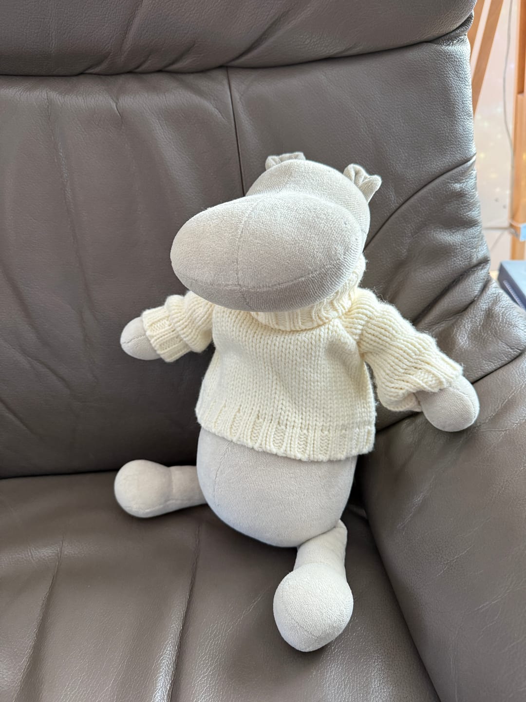 Customer photo review of LE PULL - L/XL