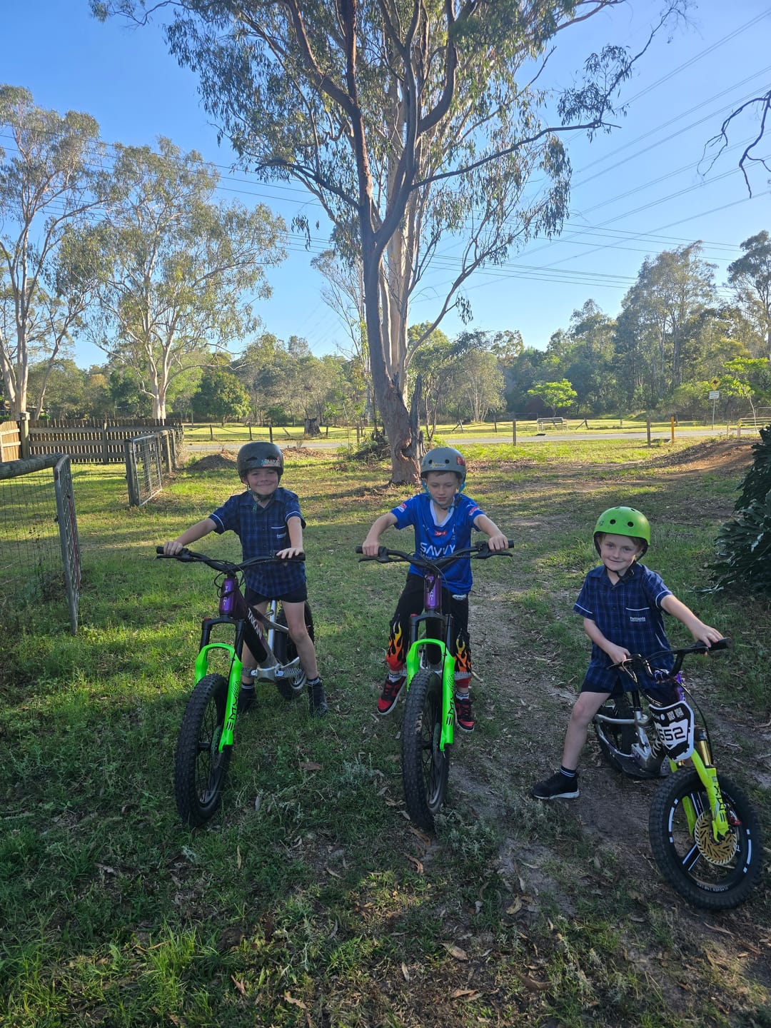 Customer photo review of TAKANI Electric Balance Bike 20'' - TK2060 Plum Silver