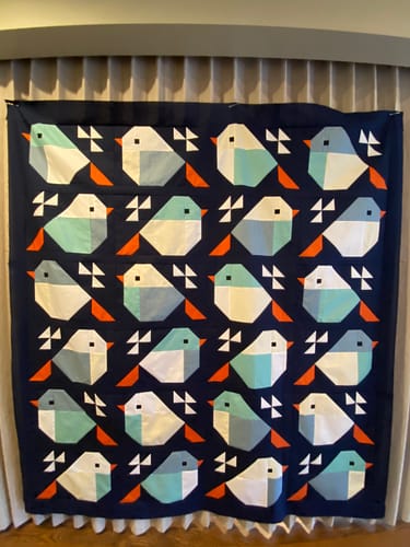 Customer photo review of Sparrows Bee Basics- Pre-Cut Ready-To-Sew Quilt Kit
