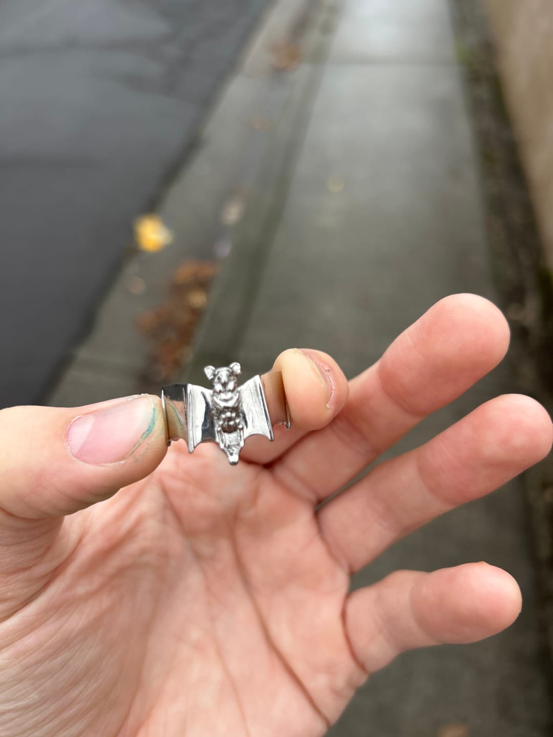 Customer photo review of BAT RING