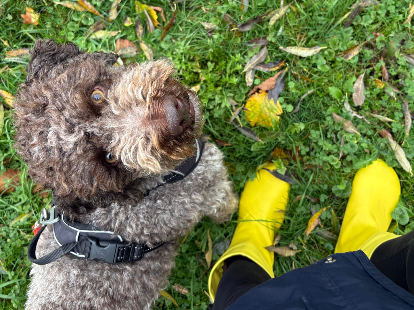 Customer photo review of Brisk Ⅰ - Barfuß-Gummistiefel