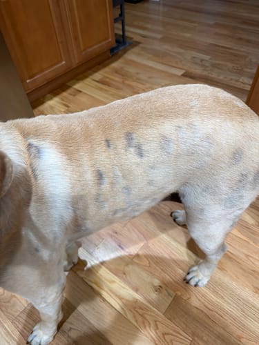 Customer photo review of DA-1™ Daily All-in-One Complete Care