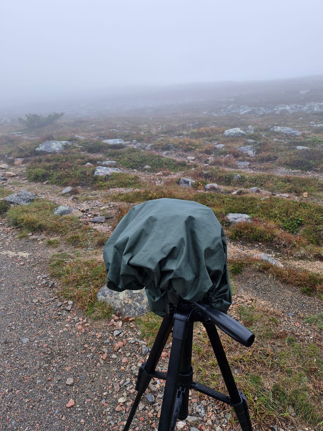 Customer photo review of Backpack cover